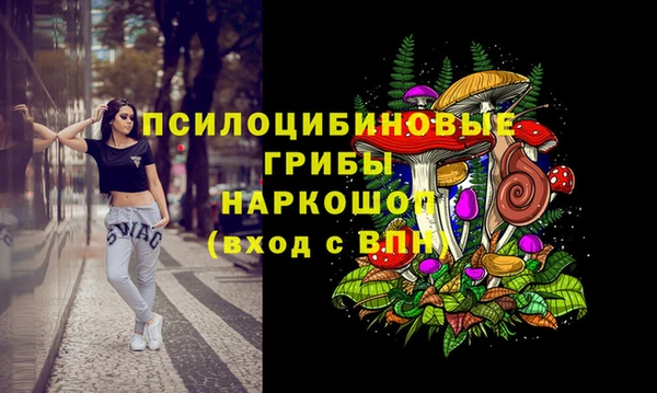 mix Алексин