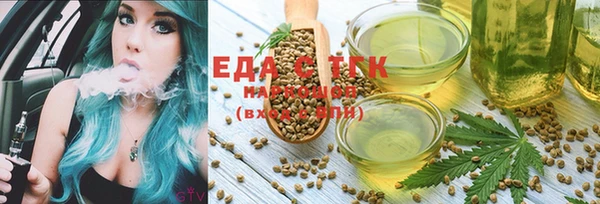 индика Алзамай