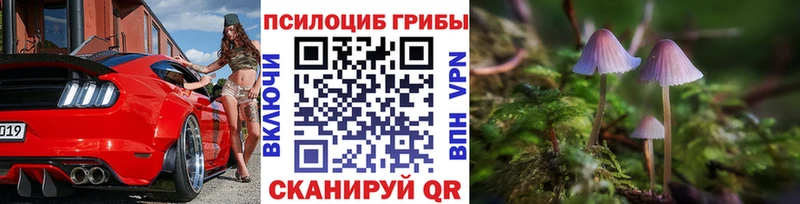 Галлюциногенные грибы Psilocybine cubensis  Купить  Западная Двина 