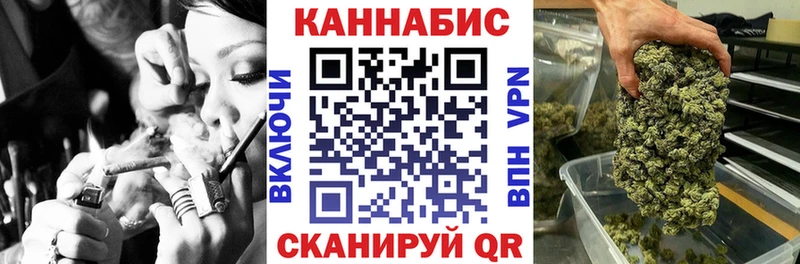 Купить закладки  Западная Двина  Конопля сатива 